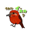 身近なにほんの野鳥～見たことあるカモ？～（個別スタンプ：2）