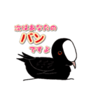 身近なにほんの野鳥～見たことあるカモ？～（個別スタンプ：4）