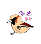 身近なにほんの野鳥～見たことあるカモ？～（個別スタンプ：5）