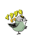 身近なにほんの野鳥～見たことあるカモ？～（個別スタンプ：8）