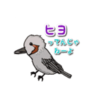 身近なにほんの野鳥～見たことあるカモ？～（個別スタンプ：11）