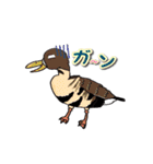 身近なにほんの野鳥～見たことあるカモ？～（個別スタンプ：14）