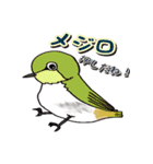 身近なにほんの野鳥～見たことあるカモ？～（個別スタンプ：16）
