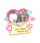 祝 ポメラニアン（個別スタンプ：6）