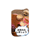 甘えん坊トイプードルのマロン（個別スタンプ：7）