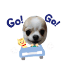 さぶこたスタンプ☆（個別スタンプ：6）