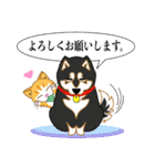 猫のムニとモフ仲間（個別スタンプ：24）