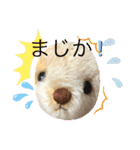 ハンドメイドくまちゃんかわいい日常使える（個別スタンプ：8）