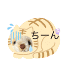 ハンドメイドくまちゃんかわいい日常使える（個別スタンプ：9）