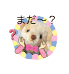 ハンドメイドくまちゃんかわいい日常使える（個別スタンプ：10）