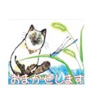 にゃんとも日記（個別スタンプ：11）