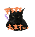 黒猫のむうた2（個別スタンプ：3）