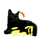黒猫のむうた2（個別スタンプ：4）