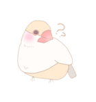 【日常会話】ゆるふわクリーム文鳥（個別スタンプ：1）