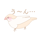 【日常会話】ゆるふわクリーム文鳥（個別スタンプ：3）
