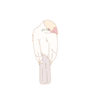 【日常会話】ゆるふわクリーム文鳥（個別スタンプ：8）