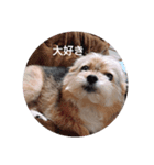 すず姫ちゃん♥（個別スタンプ：1）