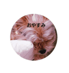 すず姫ちゃん♥（個別スタンプ：2）