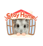 プリンの自己中心スタンプ（個別スタンプ：1）