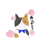 仲良しにゃんこの日常（個別スタンプ：3）