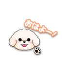 ふわふわの犬くん（個別スタンプ：1）