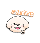 ふわふわの犬くん（個別スタンプ：3）