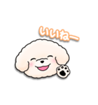 ふわふわの犬くん（個別スタンプ：11）