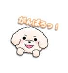 ふわふわの犬くん（個別スタンプ：12）