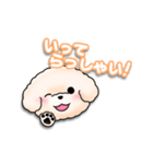 ふわふわの犬くん（個別スタンプ：13）
