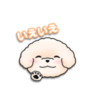 ふわふわの犬くん（個別スタンプ：19）