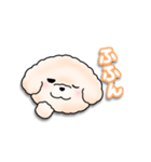 ふわふわの犬くん（個別スタンプ：37）