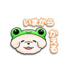 ふわふわの犬くん（個別スタンプ：38）