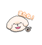 ふわふわの犬くん（個別スタンプ：39）