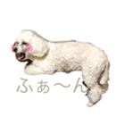 はなろんスタンプ！（個別スタンプ：2）