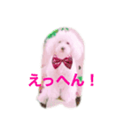 はなろんスタンプ！（個別スタンプ：4）