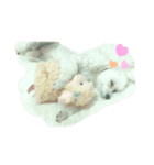 はなろんスタンプ！（個別スタンプ：5）