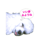 はなろんスタンプ！（個別スタンプ：6）