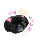 まりたん航くんあいさつ編（個別スタンプ：4）