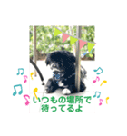 まりたん航くんあいさつ編（個別スタンプ：7）