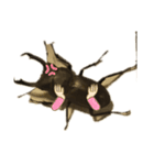 クワガタの一週間（個別スタンプ：13）