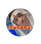 ファッション企画①『アラブの石油王』⑥（個別スタンプ：8）
