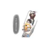 hiyorifuuna（個別スタンプ：12）