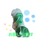 ねこねこ実用的すたんぷ（個別スタンプ：4）