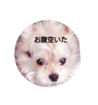 すず姫♥（個別スタンプ：1）