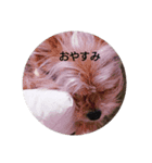 すず姫♥（個別スタンプ：7）