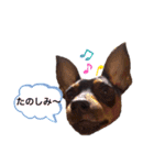 ミニピン  りっくん4（個別スタンプ：3）