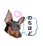 ミニピン  りっくん4（個別スタンプ：37）