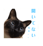 Sora Umi chan（個別スタンプ：4）