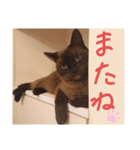 Sora Umi chan（個別スタンプ：10）