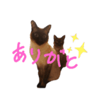 Sora Umi chan（個別スタンプ：12）